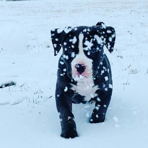 Meet your Posher, Kaytie